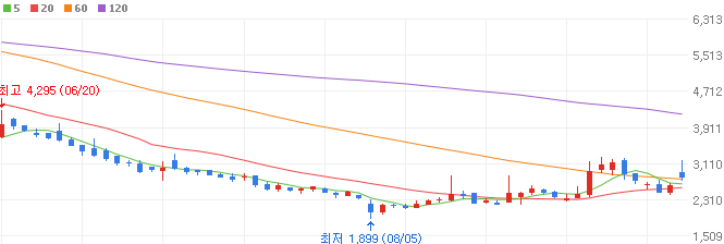 리튬-관련주-리튬포어스-주가