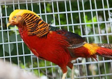 용인 아이와 가볼만한 곳 동천자연식물원