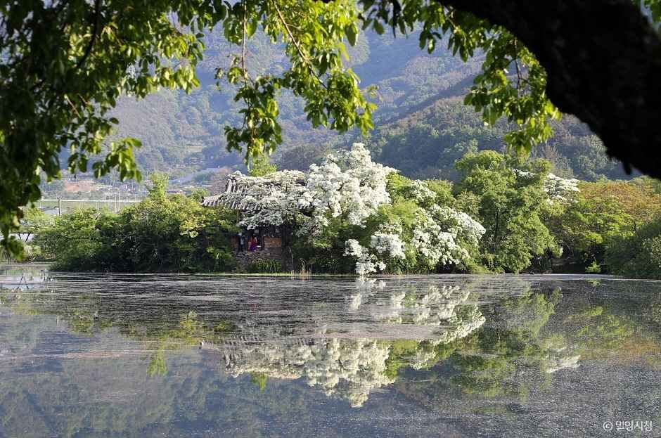 밀양 가볼만한곳 베스트10