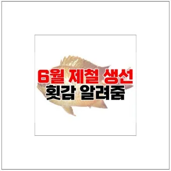 6월 제철회 종류별 신선한 해산물의 맛있는 향연_13
