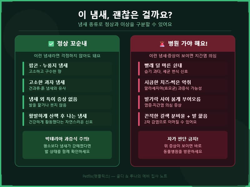 강아지 발바닥 냄새 정상 vs 이상 비교. 팝콘&middot;누룽지 냄새는 정상, 쉰내&middot;시큼한 악취&middot;붉은 부종은 병원 방문 필요 (펫플릭스 Petflix)