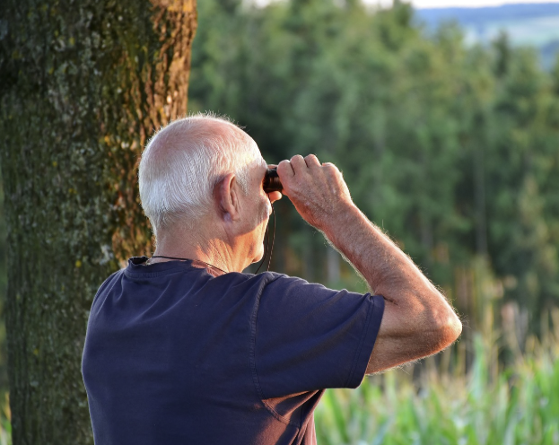 2026 국민연금 조기수령 조건, 수령액, 나이, 신청서류, 신청, 장단점, 소득