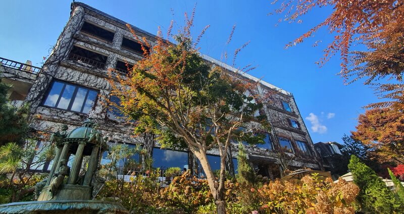 대너리스-카페-덩굴