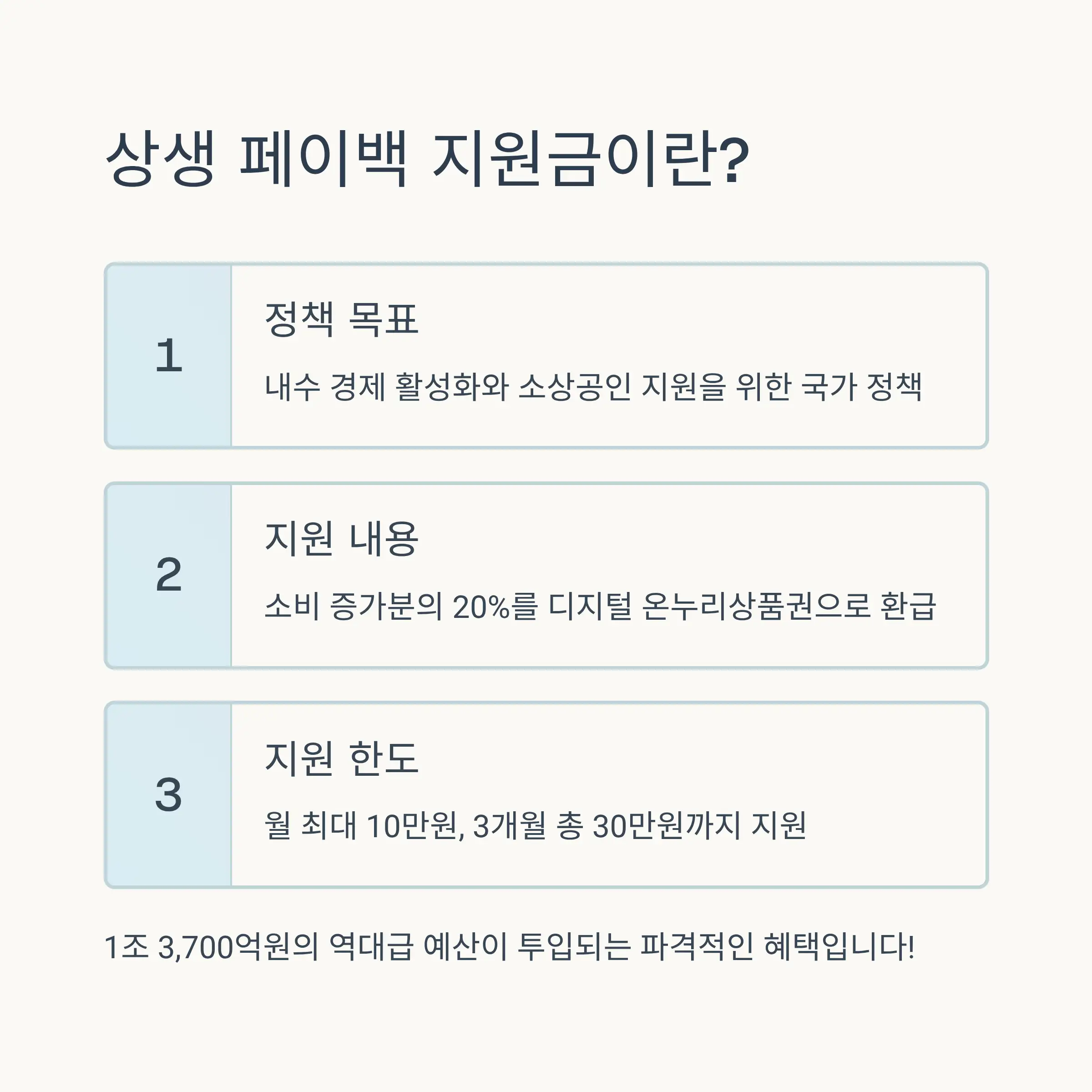 상생 페이백 지원금 정책 개요