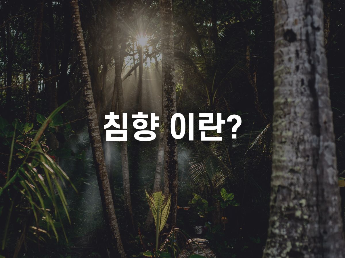 침향 이란