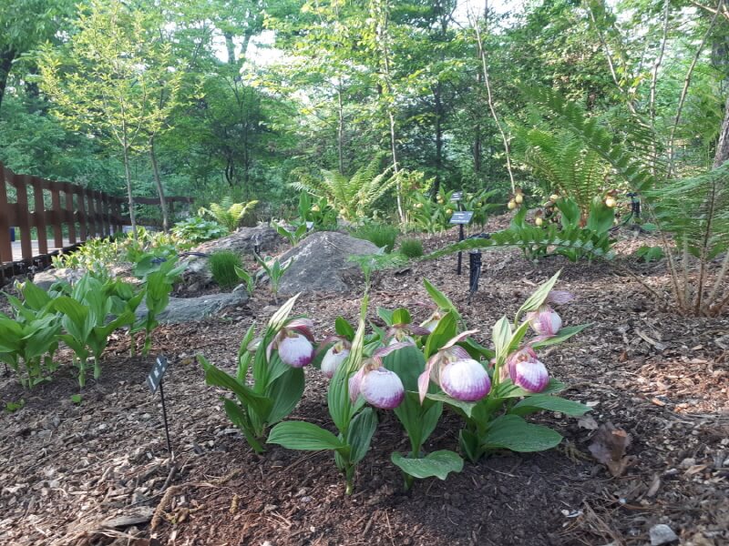 포천 국립수목원 광릉수목원 예약