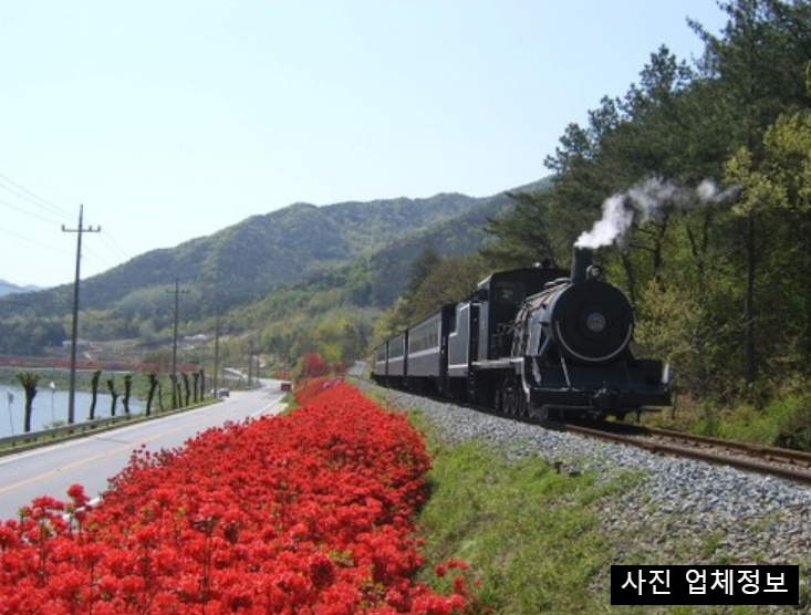 6월 국내 여행지 추천 BEST 5&amp;#44; 초여름 가볼만한곳