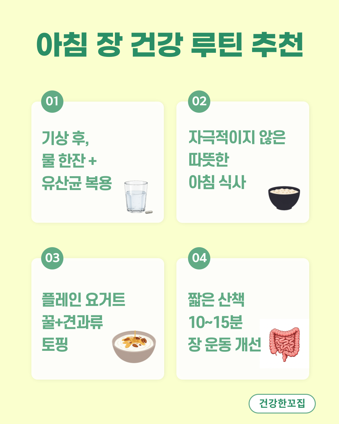 아침 장 건강 루틴 추천