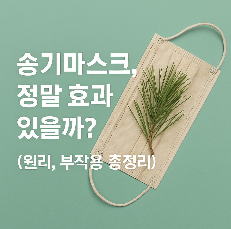 송기마스크, 정말 효과 있을까? (원리, 부작용 총정리)