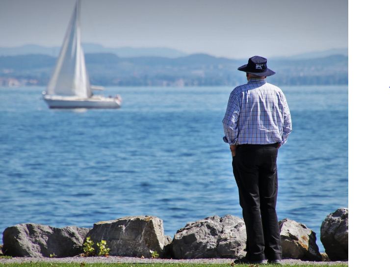 대체 단백질과 노인 영양: 고령화 사회를 위한 식품 혁신