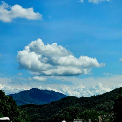 추석 고속도로 통행료 면제 시간 기간 날짜21