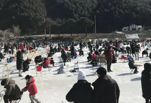 평창 송어 축제 전경
