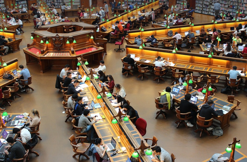 교환학생 관련 사진