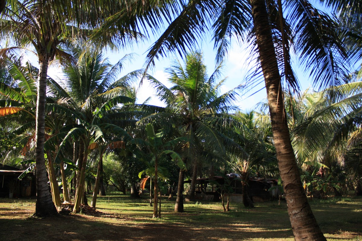 saipan2_IMG_1666