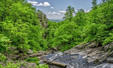 지방간 환자들의 생활관리법 이 분야 장인이 알려주는 유행 알아보기