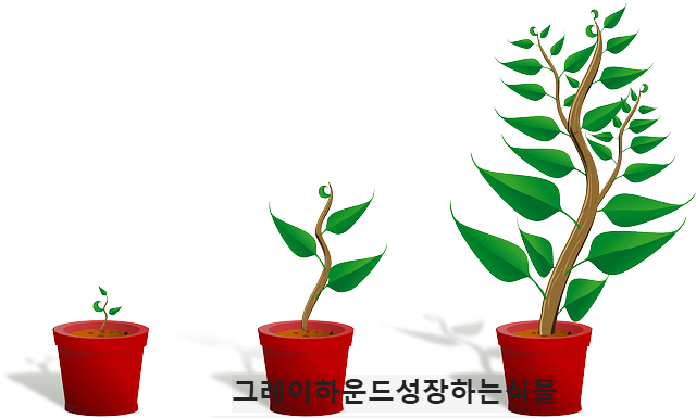커뮤니티성장전략
