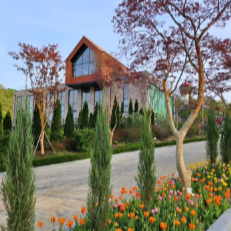 용인 자작나무숲 - 애견동반 입장료 펜션 예약