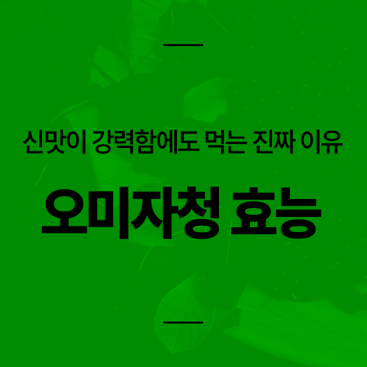오미자청 효능
