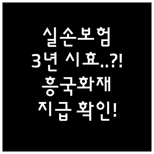 실손보험금 청구 3년 소멸시효 흥국화..