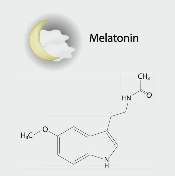 멜라토닌 많은 음식