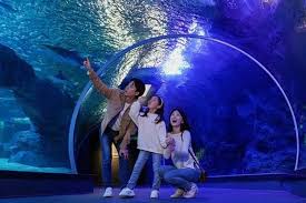 수원 가볼만한곳 - 아쿠아플라넷 광교