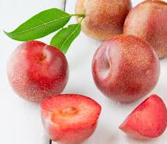 플럼코트 먹는법