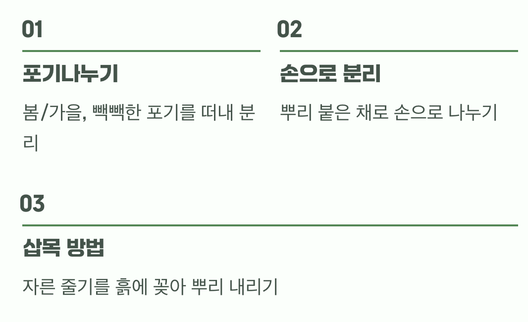 5. 한 포기가 열 포기가 되는 마법, 번식법
