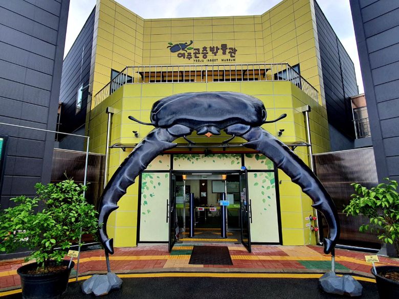 여주곤충박물관