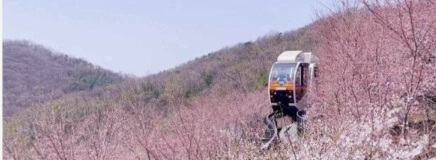 화담숲 예약하기 홈페이지 입장료 주변 맛집 모노레일 단풍 절정시기 꿀팁