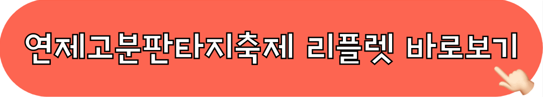 제6회_연제고분판타지축제_리플렛_바로보기