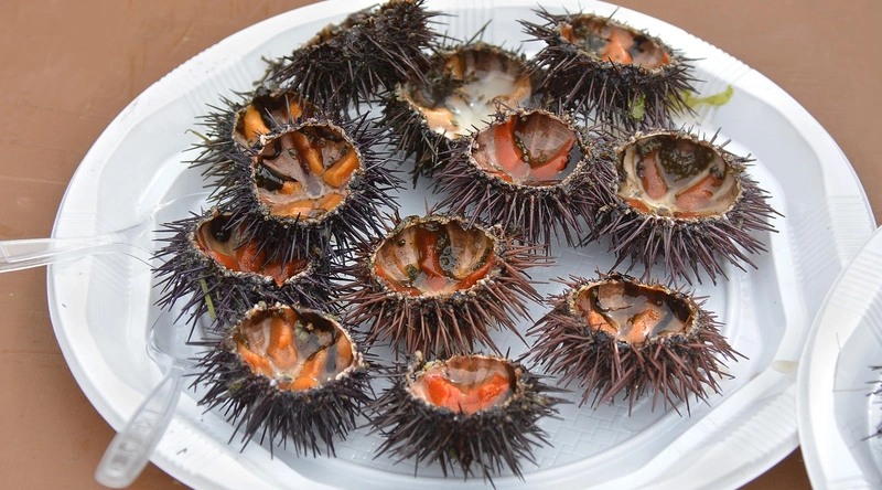 쾌적한 주거 환경의 중요성