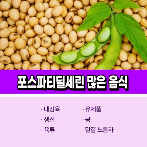 포스파티딜세린 음식