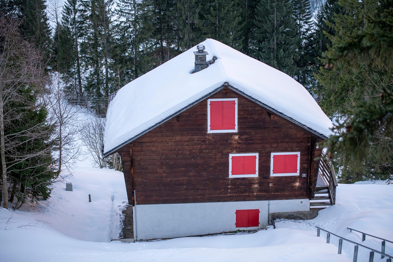 우리 동네 재난 대피소