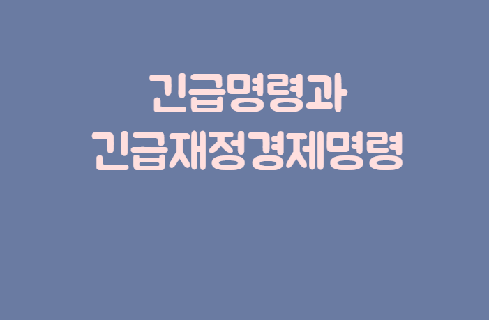 긴급경제명령 제목이 담긴 배너