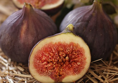 무화과란?