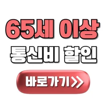 65세이상 노인 혜택 알아보기 완벽 복지 가이드_16