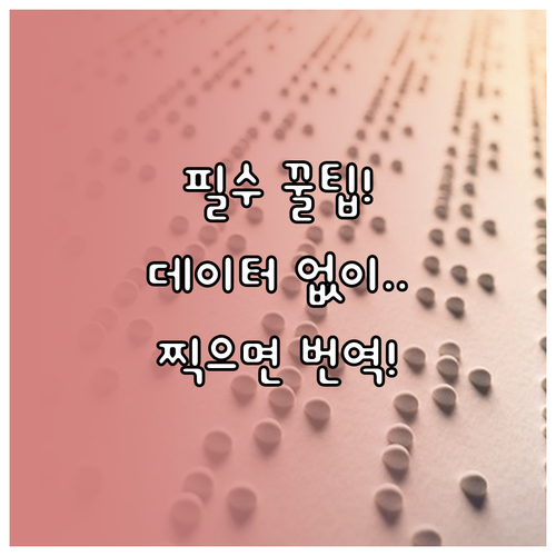 해외여행 업무 필수 구글 번역기 오프..