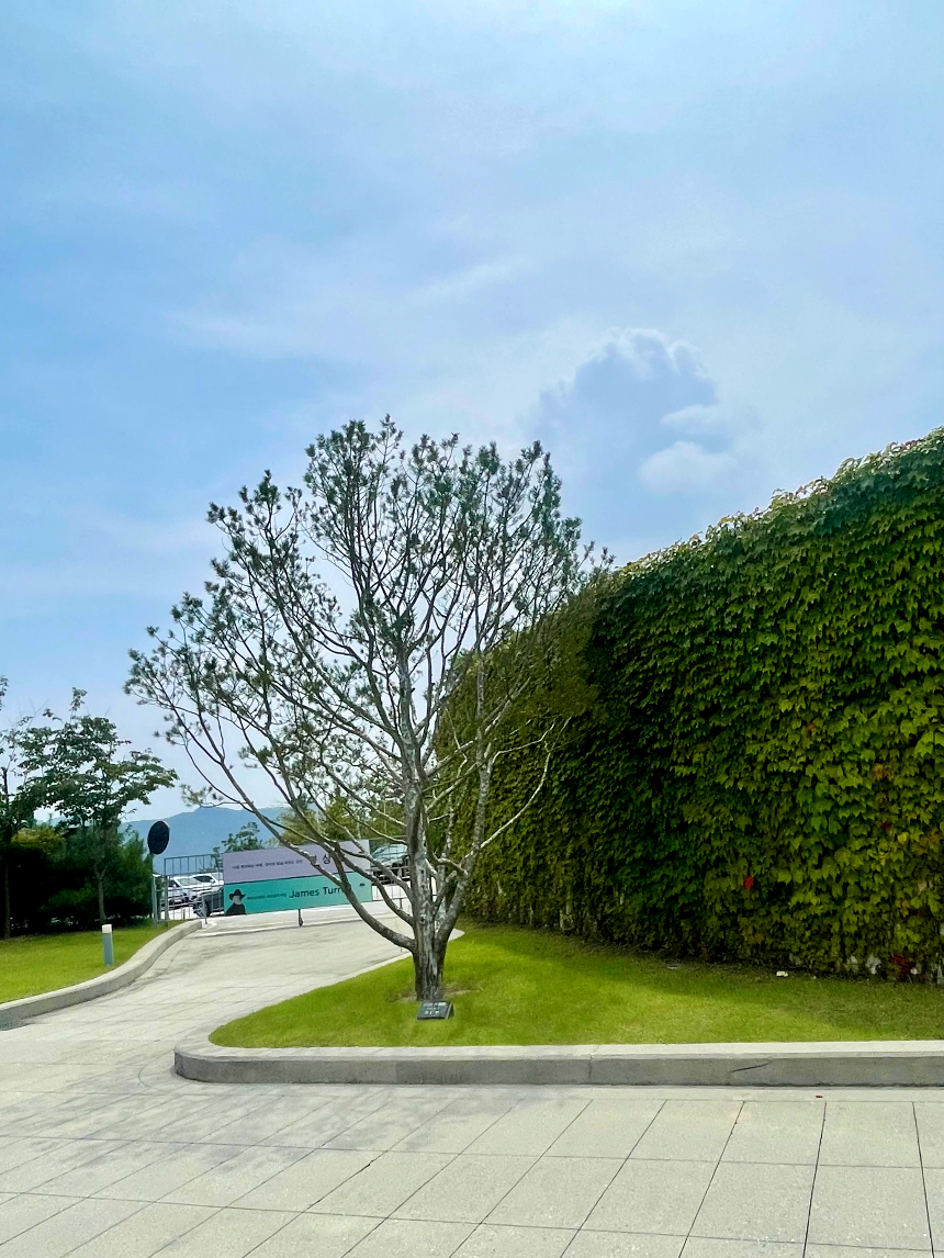 뮤지엄 산 미술장식품2