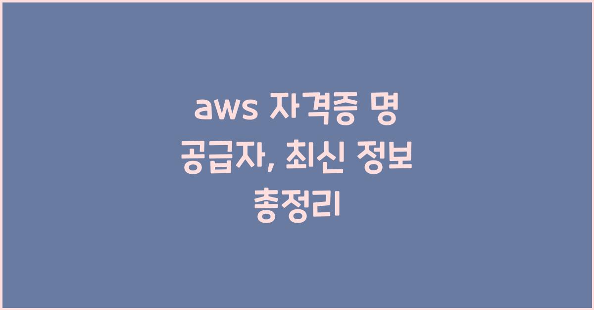 aws 자격증 명 공급자