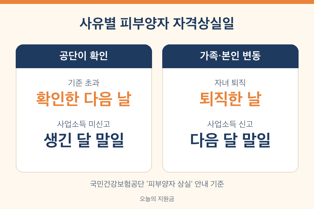 피부양자 자격상실일 사유별 공단 확인 다음 날 자녀 퇴직일 사업소득