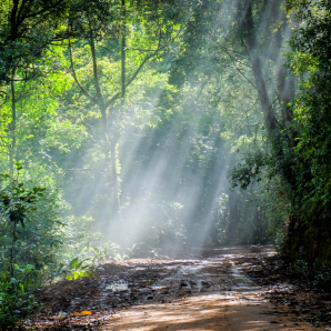 가평 암 요양병원 힐링 황토 둘레길