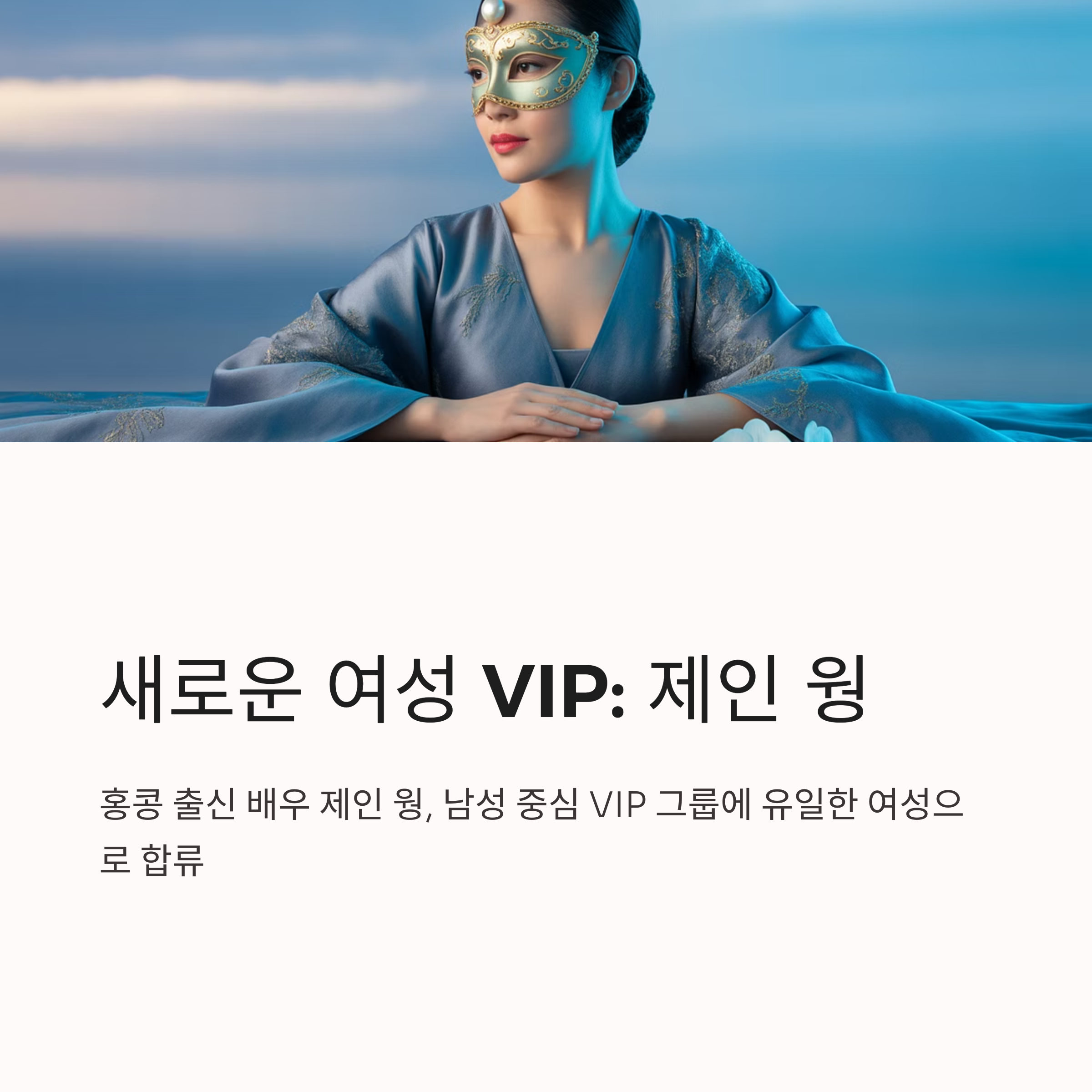 새로운 vip정체