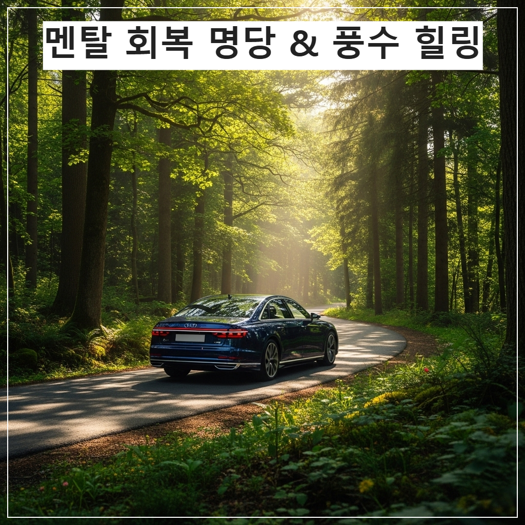 울창한 초록빛 나무 터널 사이로 뻗어 있는 굽이진 숲길 도로 위를 세련된 자동차 한 대가 부드럽게 주행하고 있으며, 나무 사이로 신비로운 아침 햇살이 내리쬐는 평화로운 모습