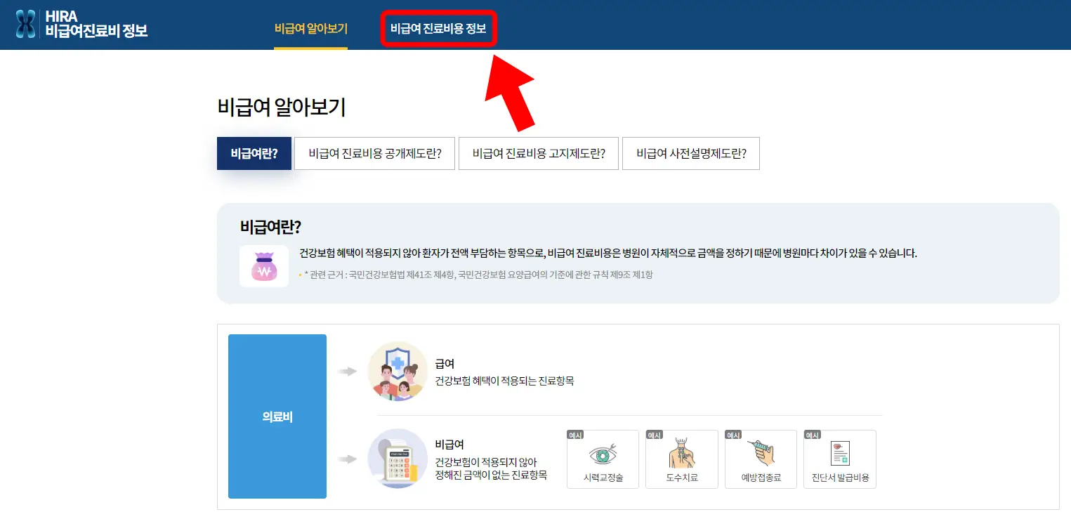 건강보험심사평가원 사이트 화면 사진
