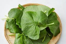 봄철 산나물의 여왕&amp;#44; 곰취! 곰취 효능부터 아이와 함께하는 요리까지 완벽 가이드