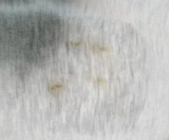 빨래 얼룩 제거 커피 김치 혈액 산소계표백 안전 사용법_12