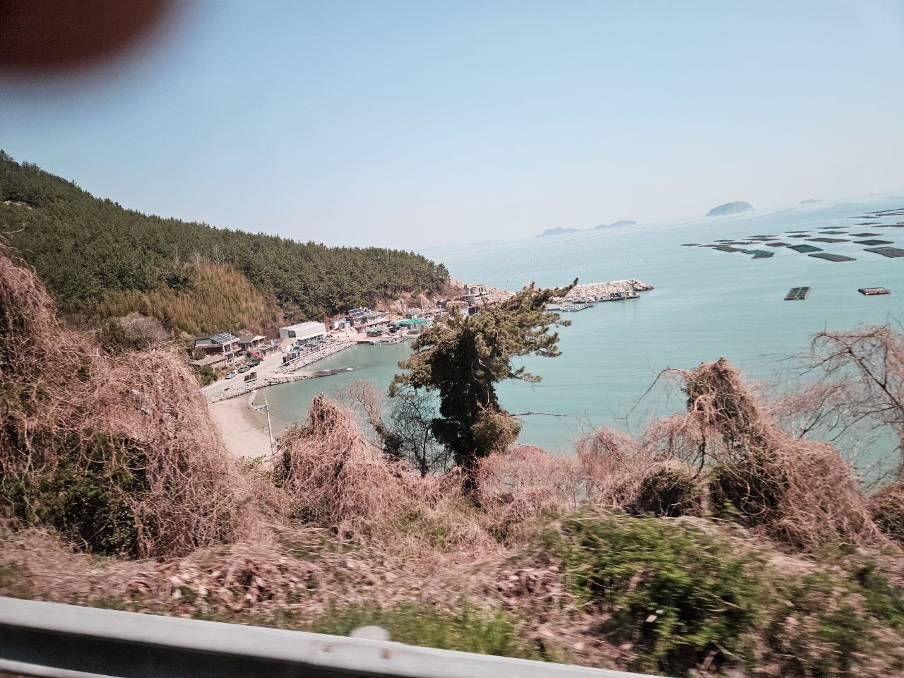 청산도 슬로우 걷기 축제: 자연과 문화의 완벽한 조화