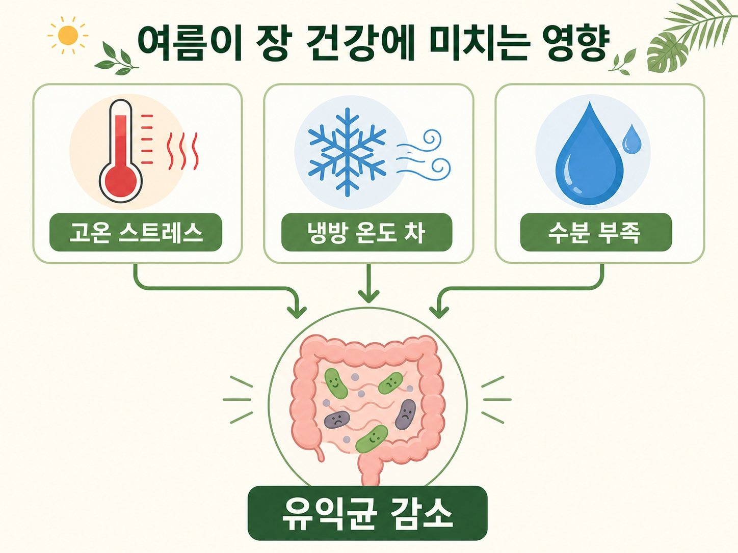 여름 장건강 유산균 필요성 원인