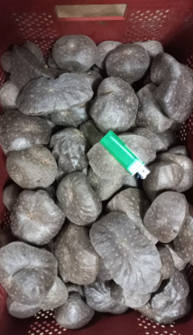 청양 미소농원 하늘마(열매마)