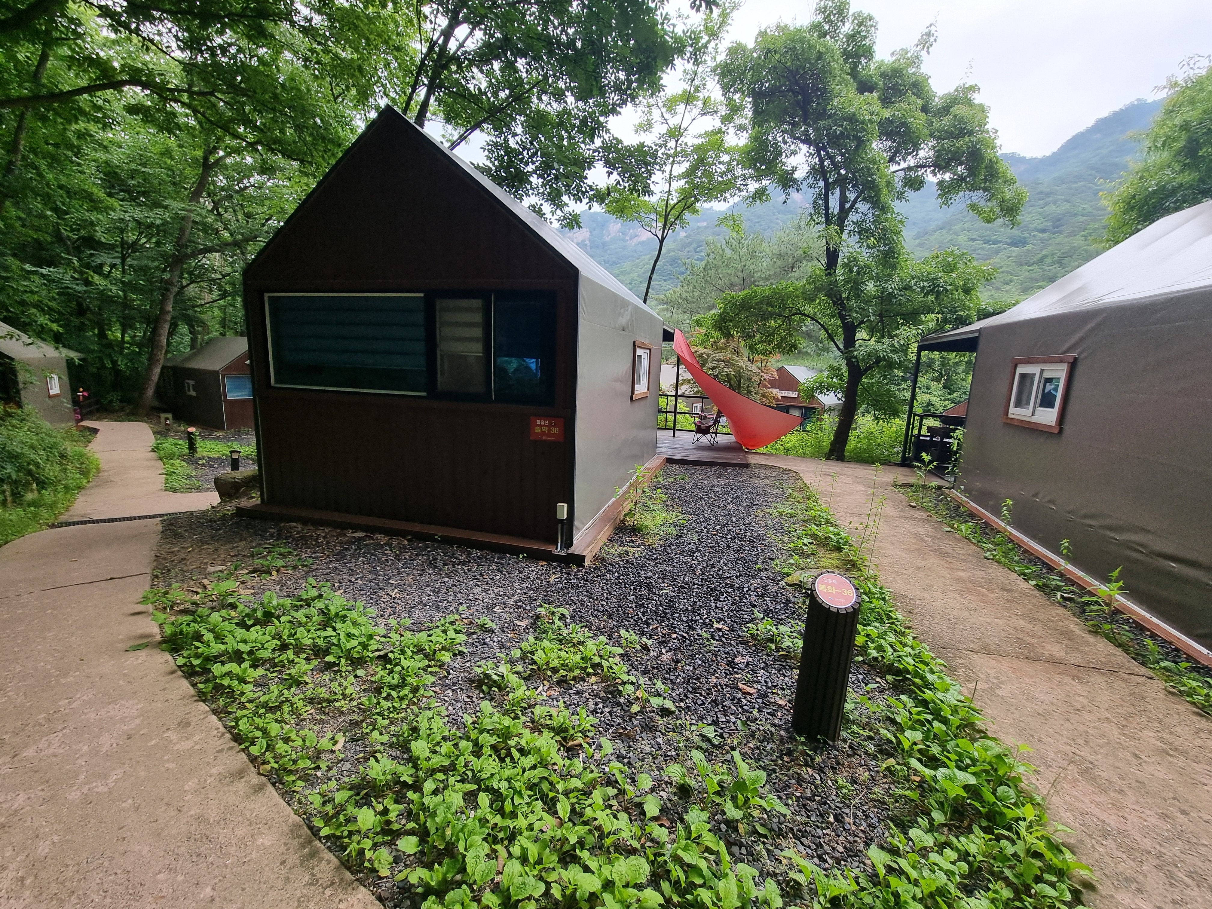 닷돈재야영장 솔막